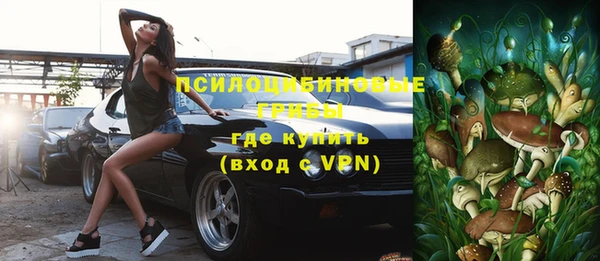 винт Пересвет